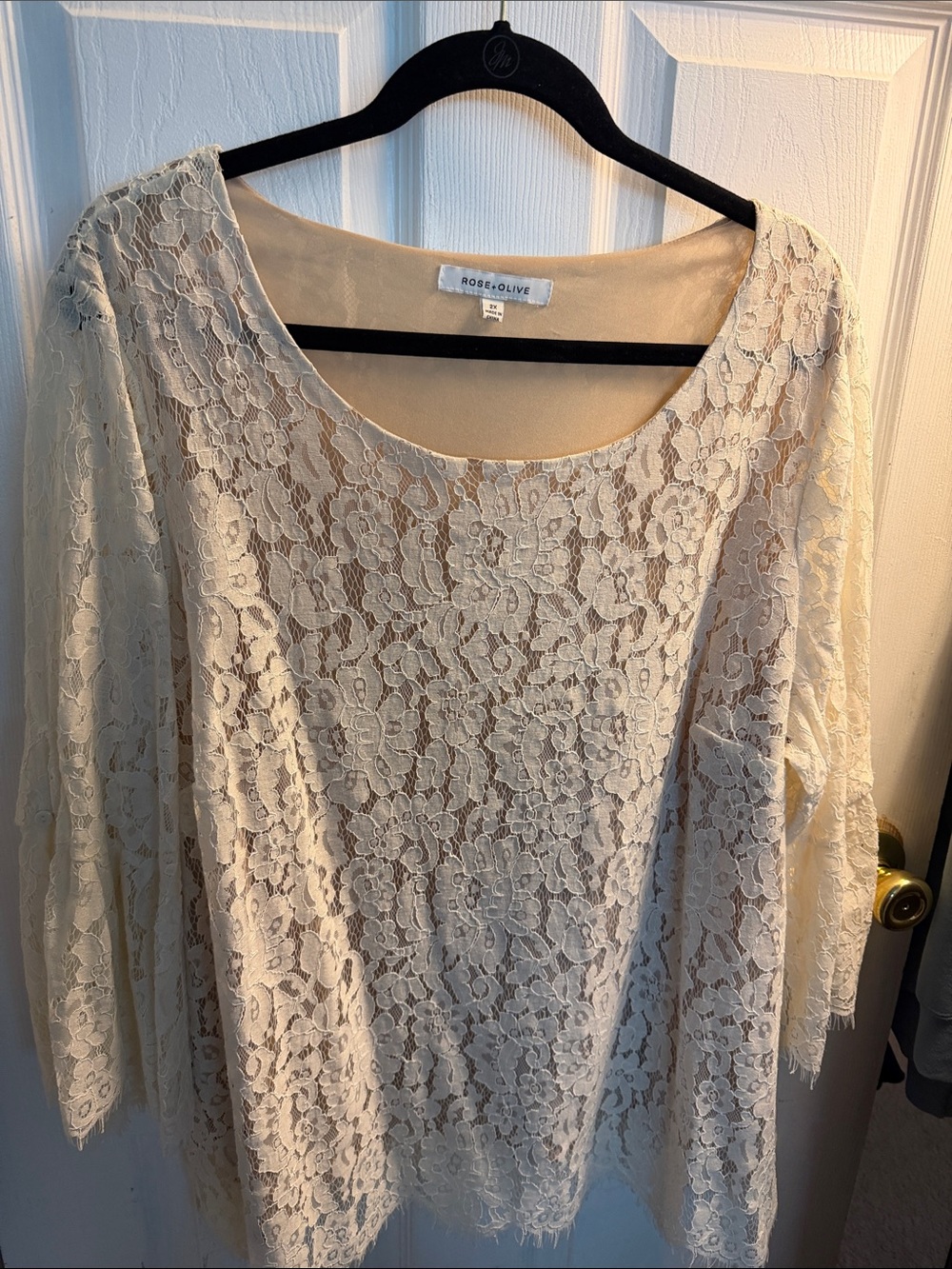 Rose & Olive Ivory Floral Lace Long-Sleeve Dress